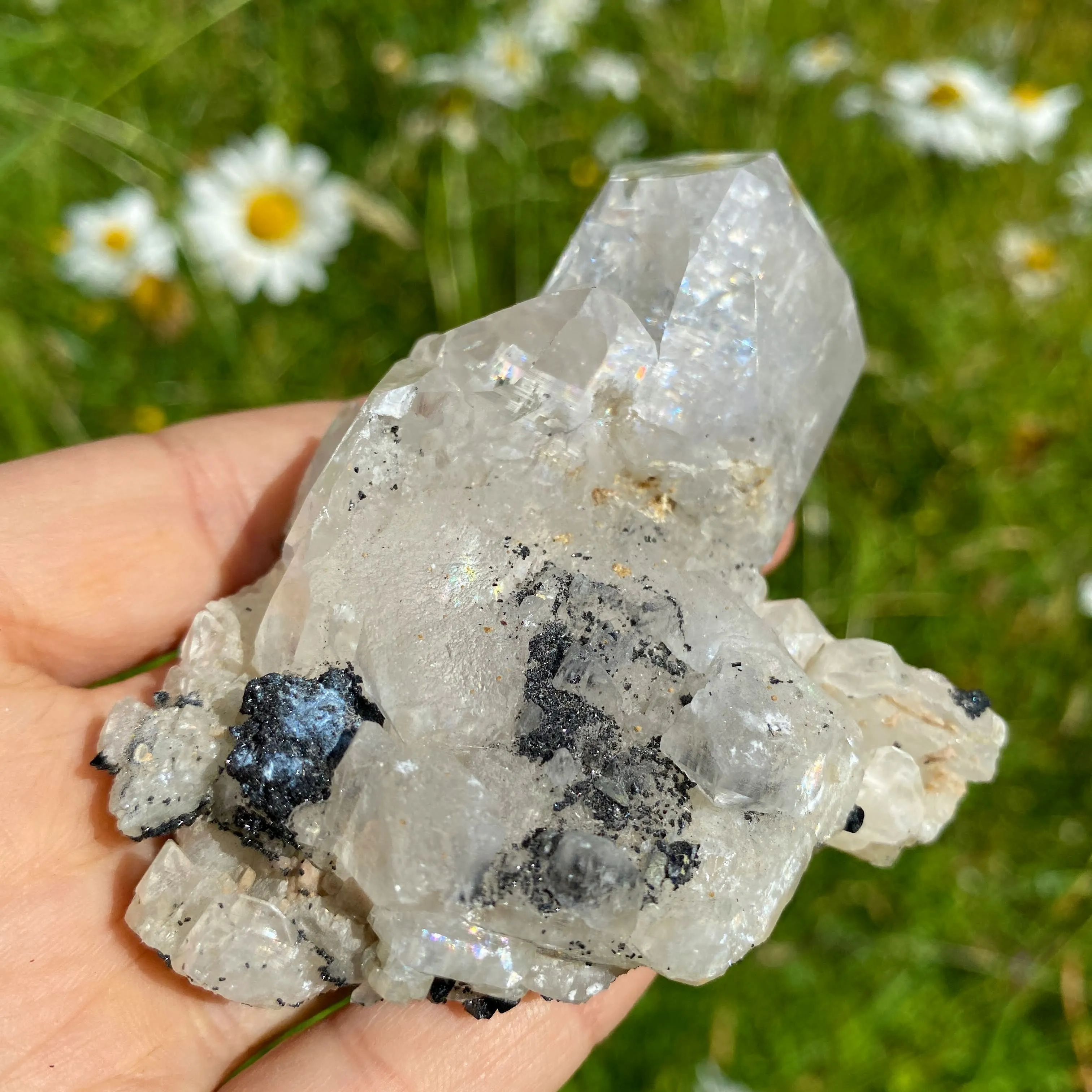 Rare Find ~Old World Collection Natural Calcite & Black Ilvaite Crystals from Dalnegorsk, Russia